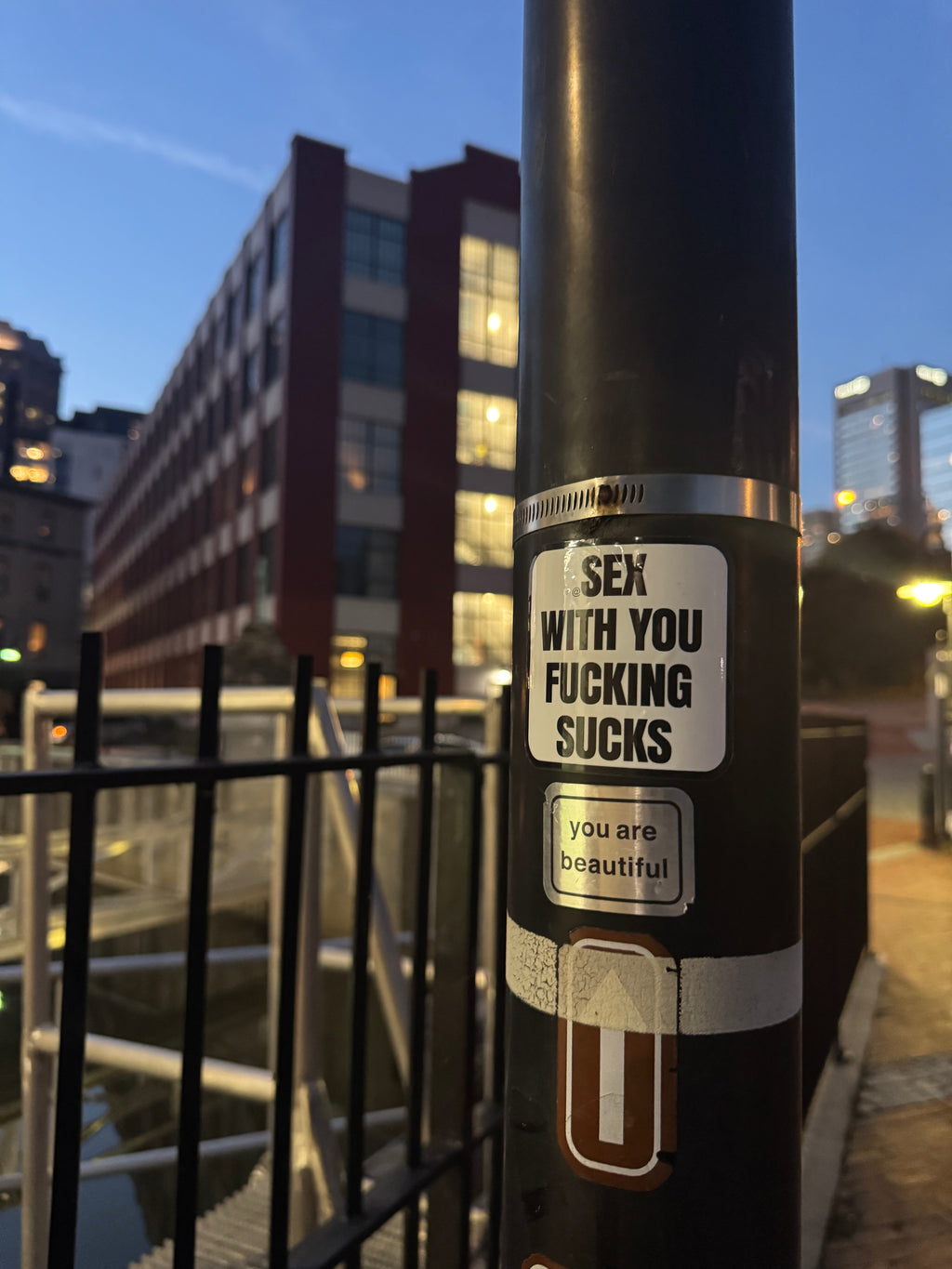 SWYFS stickers (5 pack)